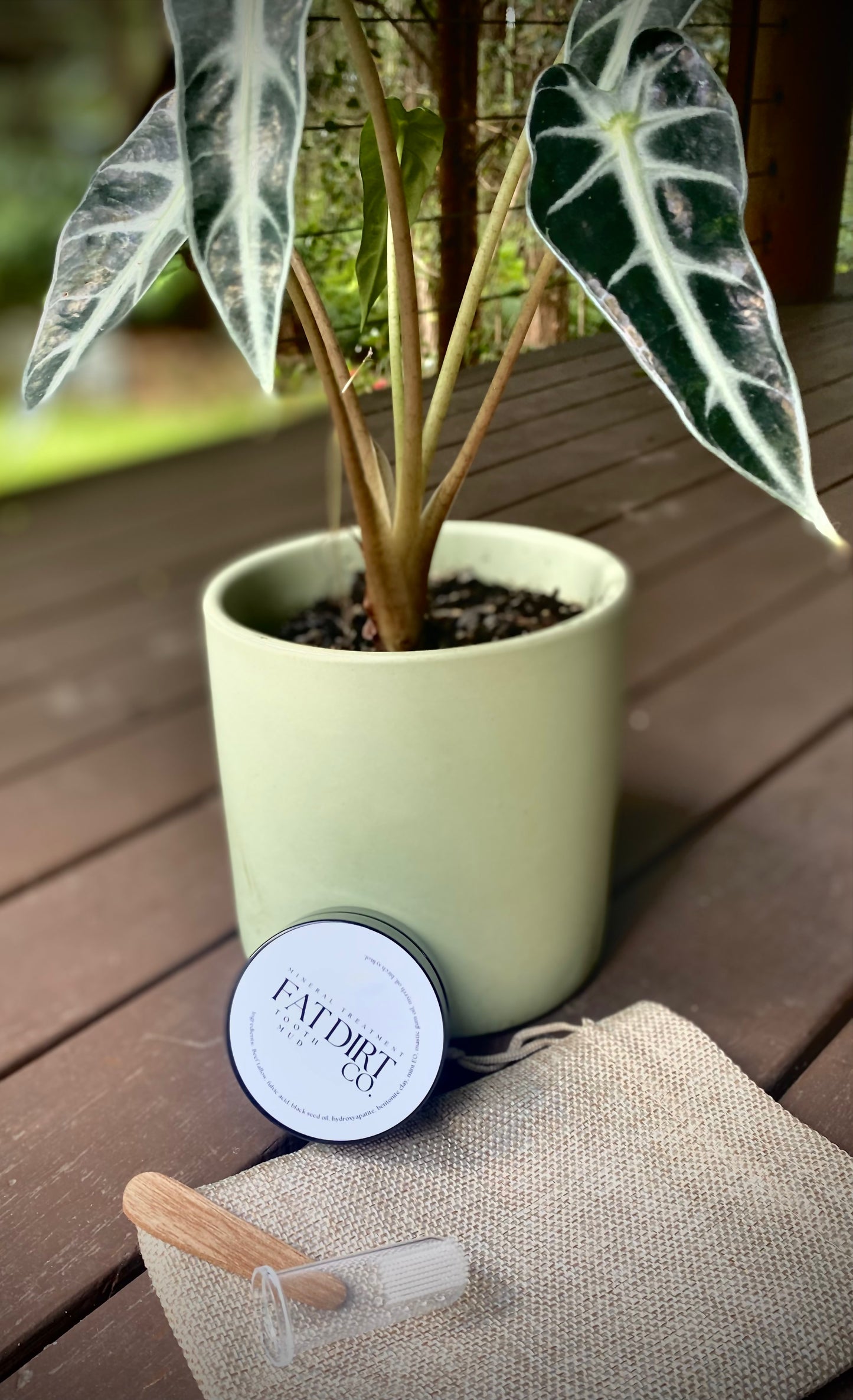 Starter Pack: Tooth Mud 40 grams